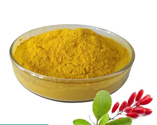 Berberyna HCL